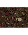 Big Bang Coal B00854