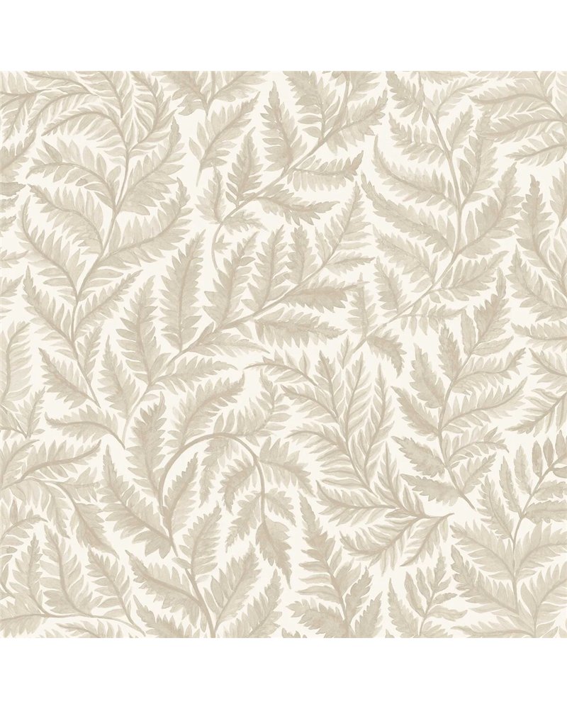 Ferns 7789 Ferns 7789