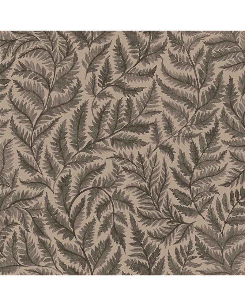 Ferns 7793 Ferns 7793