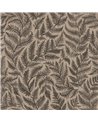 Ferns 7793