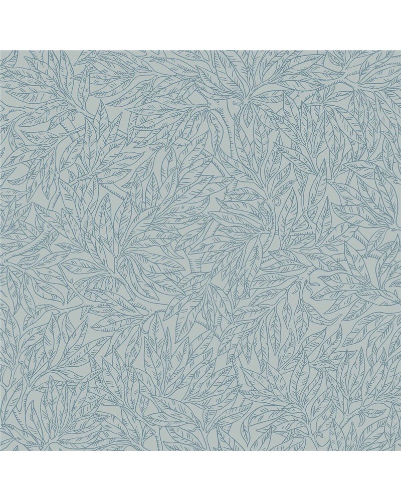 Salix Alba 7788