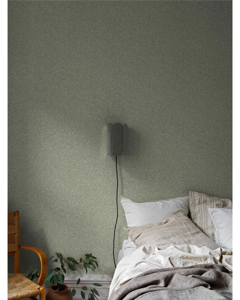 Salix Alba 7787