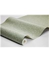 Salix Alba 7787
