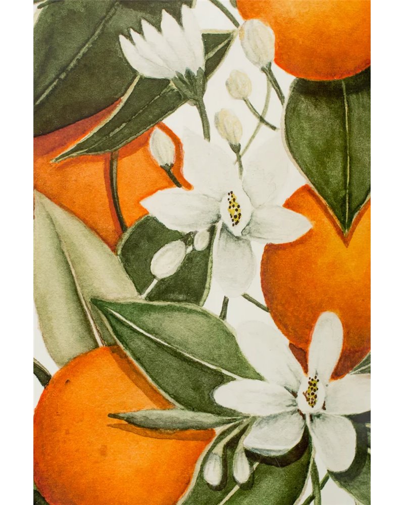 Blooming Citrus