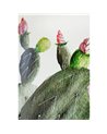 Prickly Pear Mural