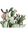 Prickly Pear Mural