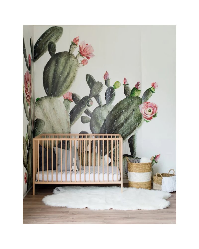 Prickly Pear Mural