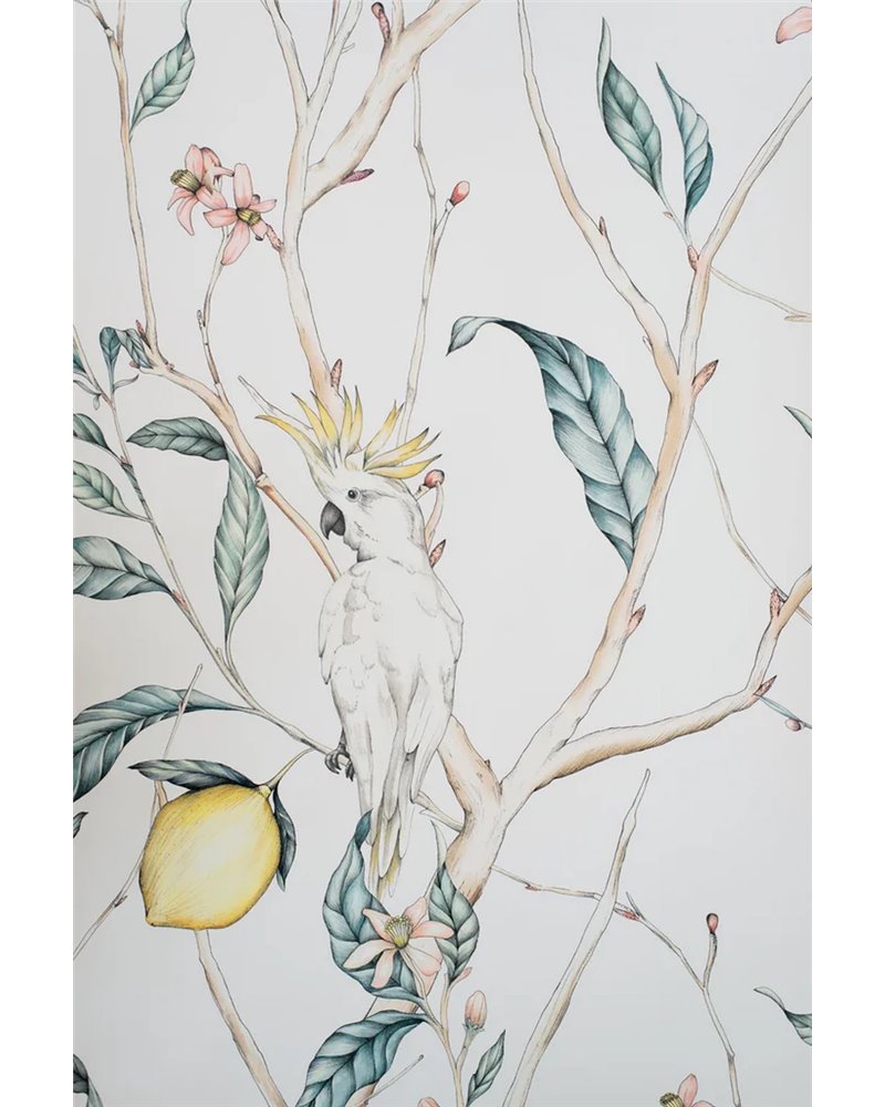 The Verbena Lemon Tree