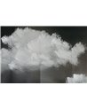 Velvet Clouds Mural