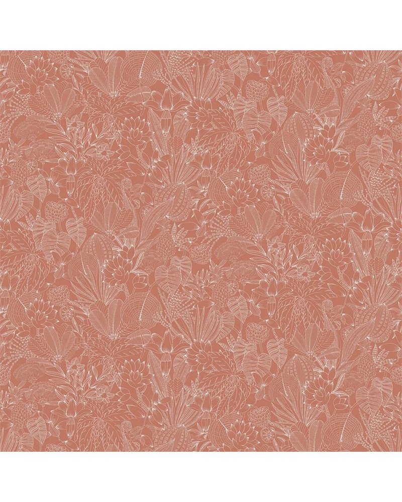 Bellis Carnelian ROM104