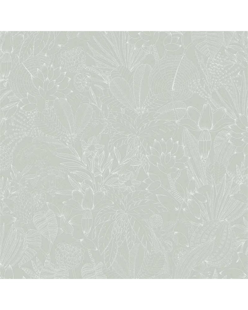 Bellis Skylight ROM105
