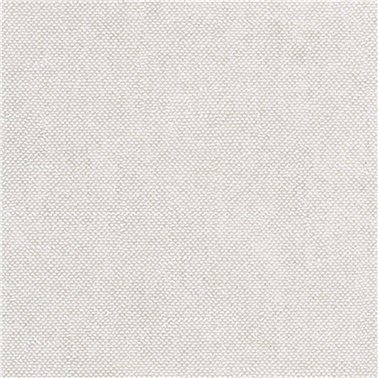 Lys Oyster CLR021
