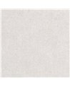 Lys Oyster CLR021