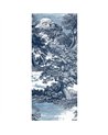 Salcey Delft DGSAL1023