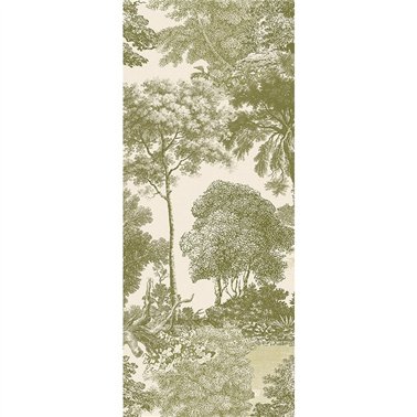 Salcey Olive DGSAL1032