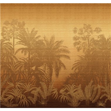 Awarra Sunrise DGZON1031