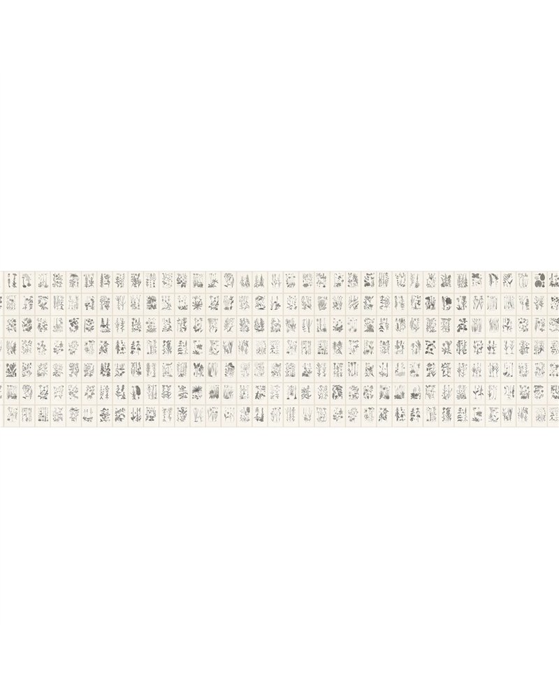 Botanica Graphite S10509