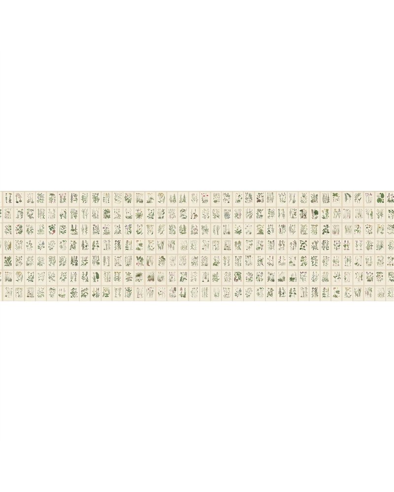 Botanica Oat S10508