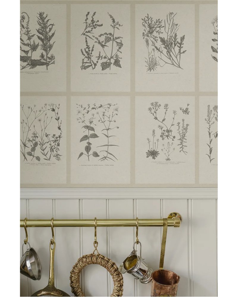 Botanica Graphite S10509