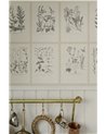 Botanica Graphite S10509