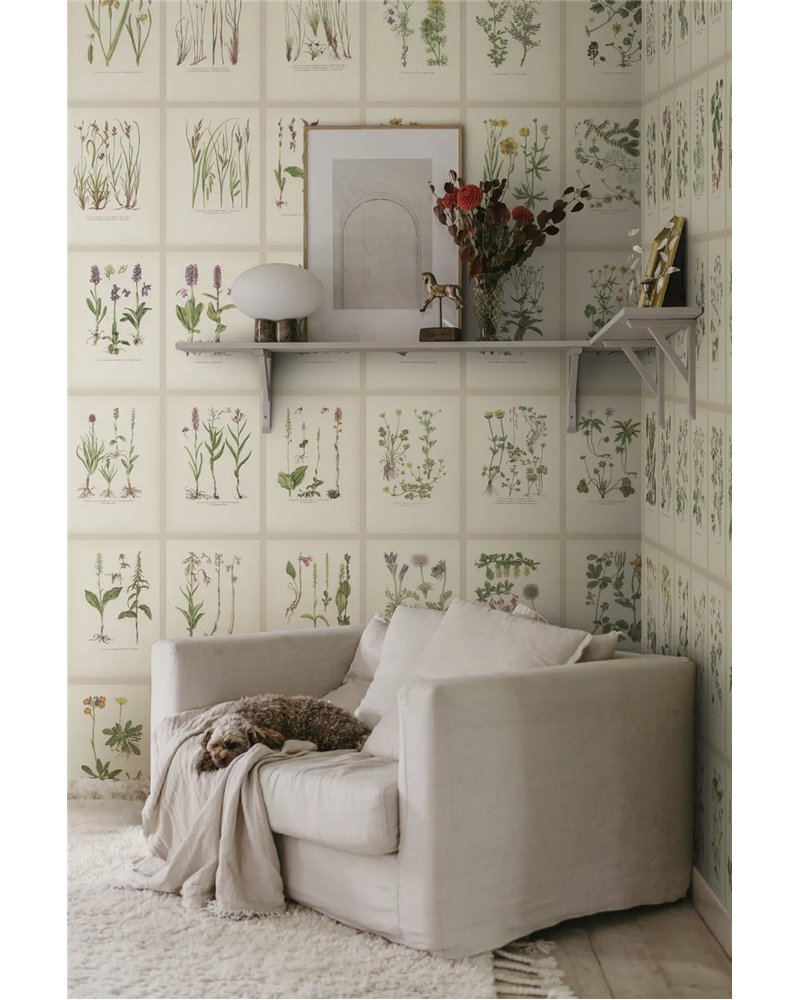 Botanica Oat S10508