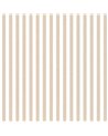 Top Stripes 38436