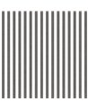 Top Stripes 38439