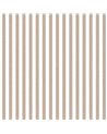 Top Stripes 38437