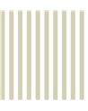 Top Stripes 38453
