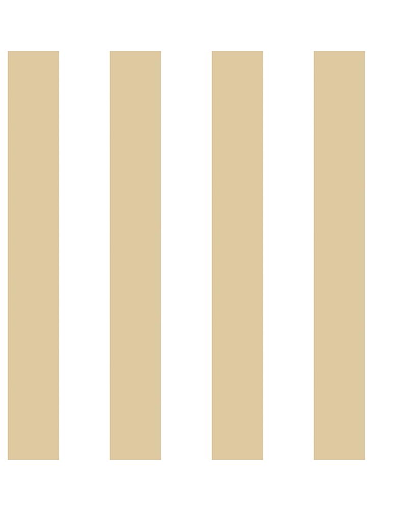 Top Stripes 38443