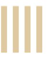 Top Stripes 38443