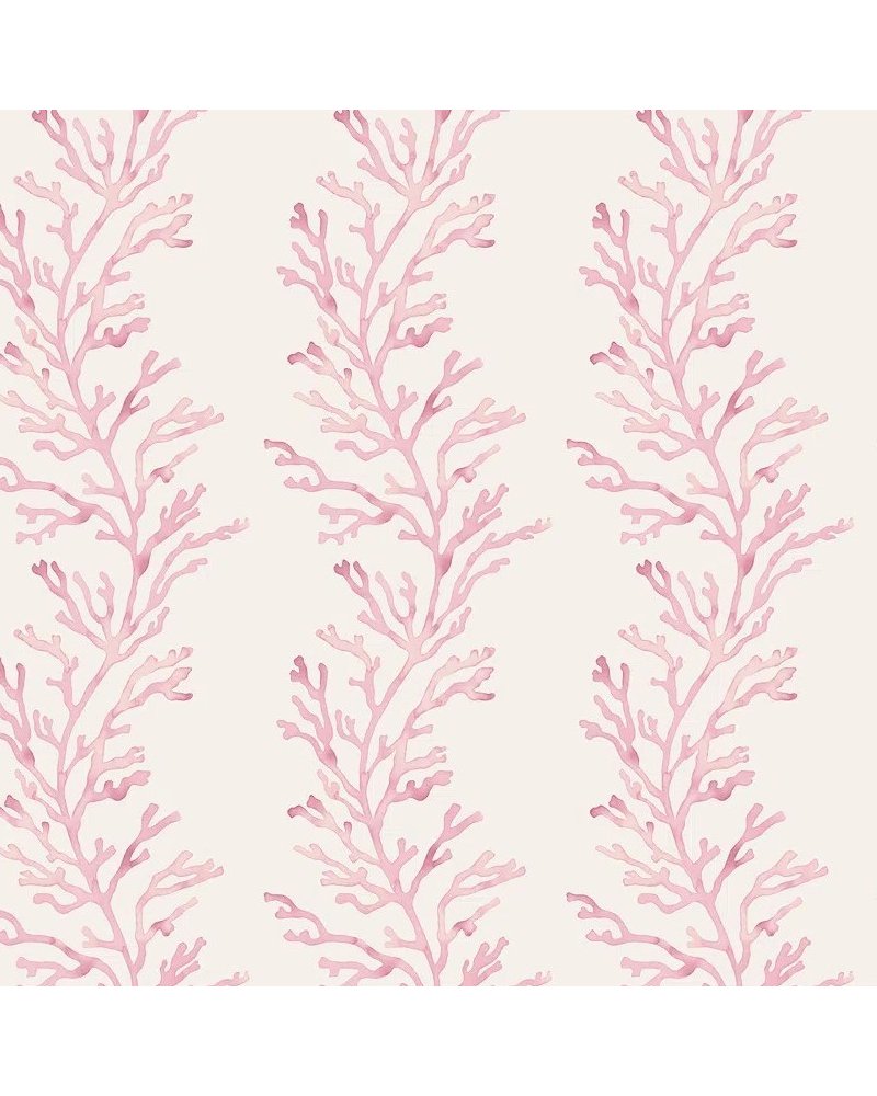 Kelp Pink WP40412