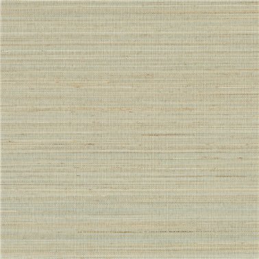 Abaca ABA23