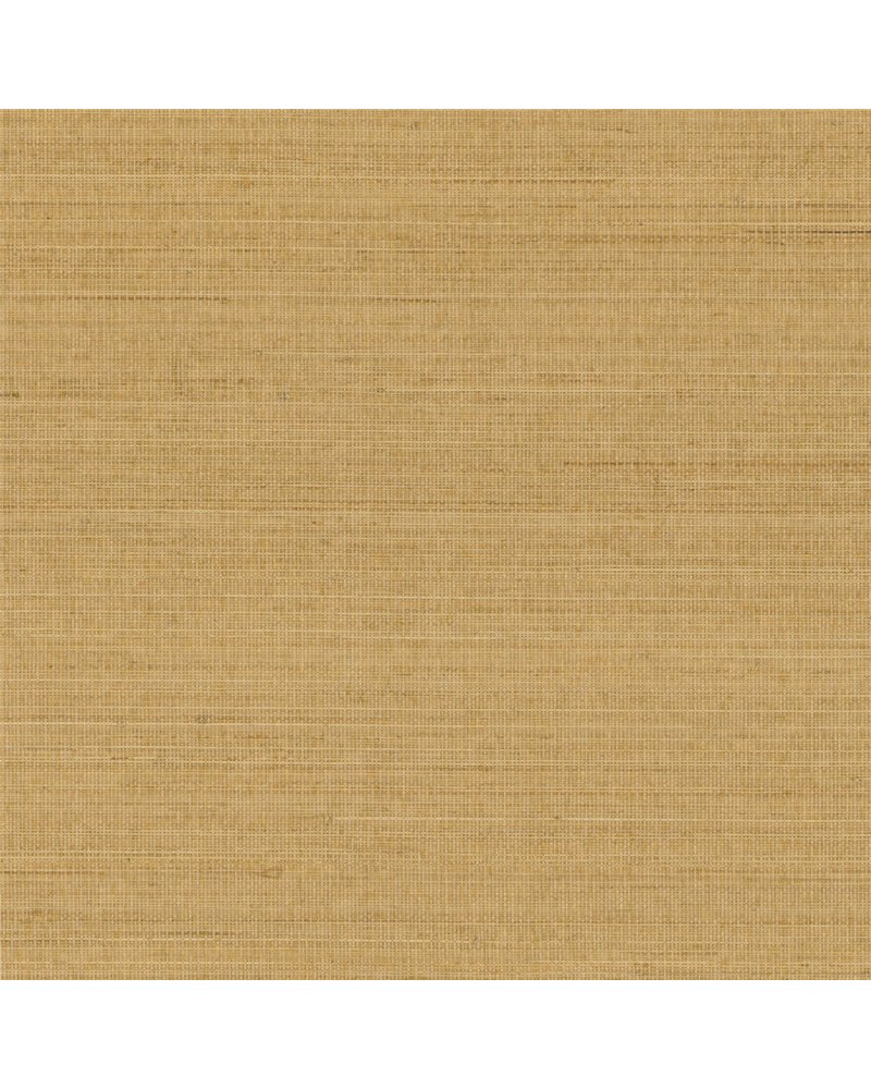 Abaca ABA13