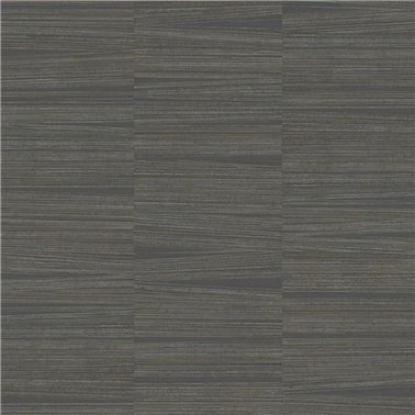 Line Stripe Charcoal OI0661