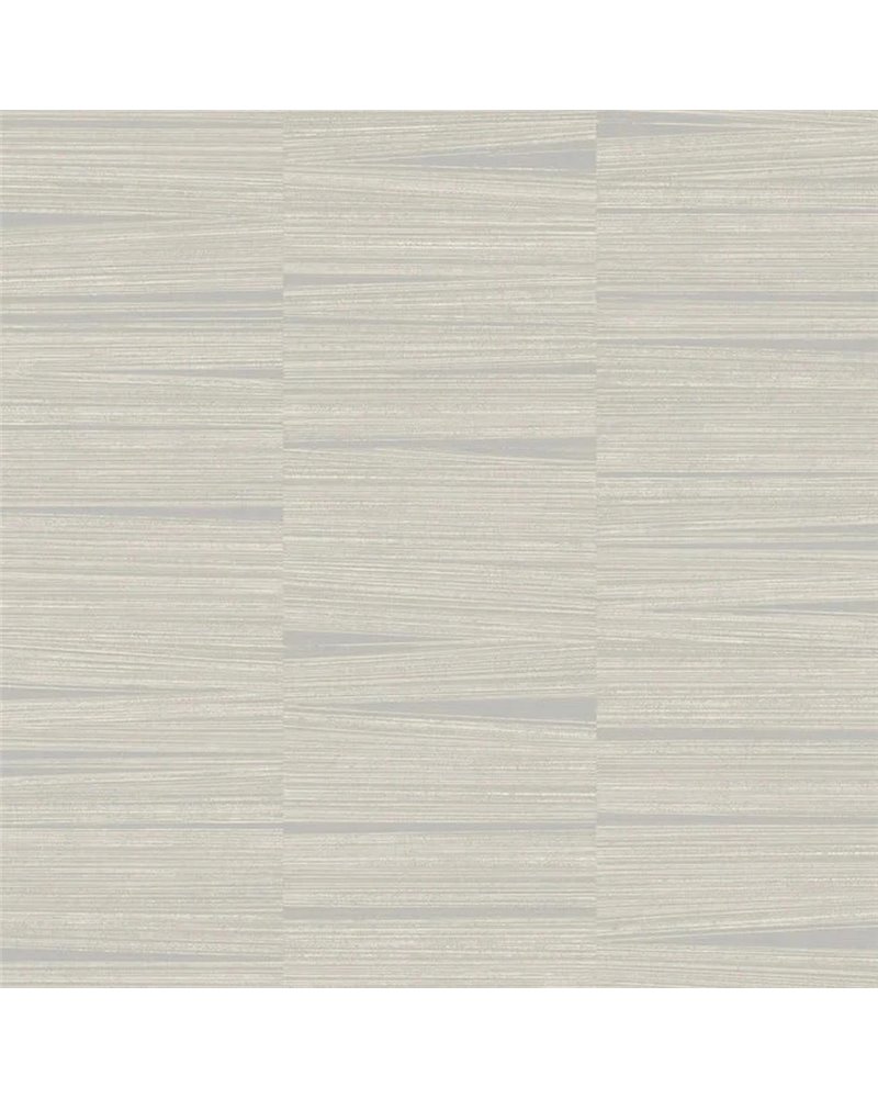 Line Stripe Gray OI0664