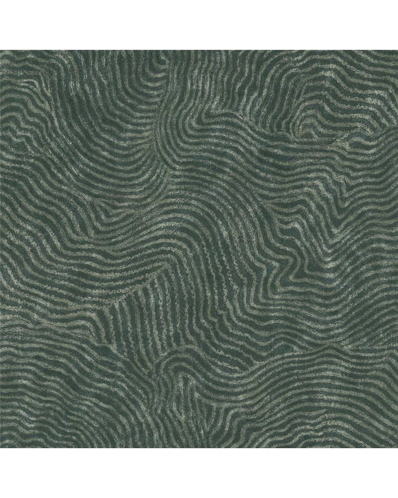Modern Wood Forest OI0711