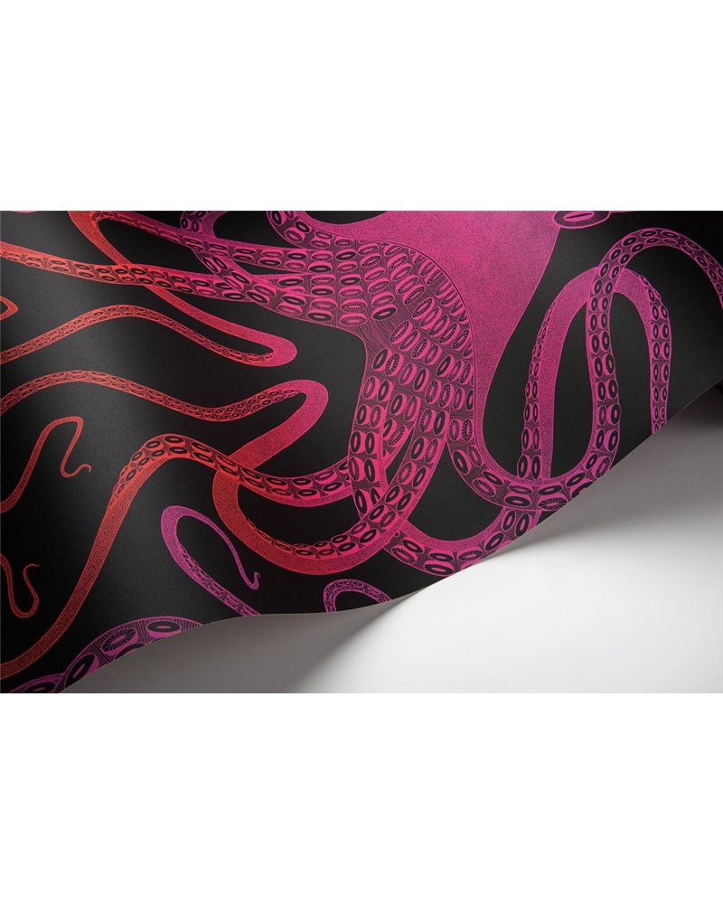 Ombre Octopus Pink Orange MISP1395