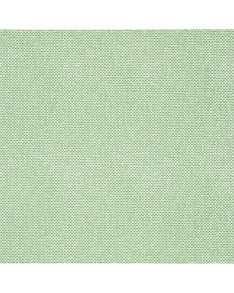 Palawan Green T16261