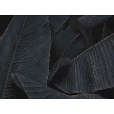 AUTUMN-LEAVES SE32118-C