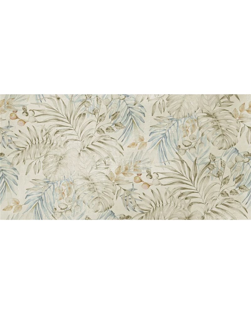 MAUI SE33529-C