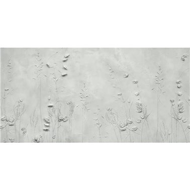 DRYAS NATURE  SE34180-C