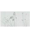 MEMOIRES SE34212-C