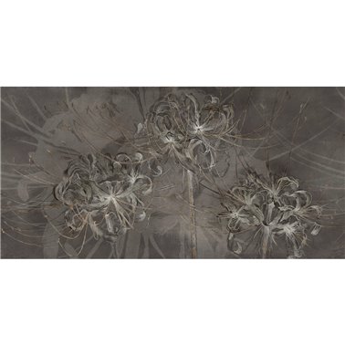 CARMEN SE34353-C