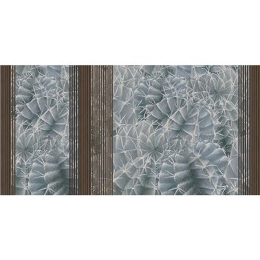 CACTUS RAPSODY SE34434-C