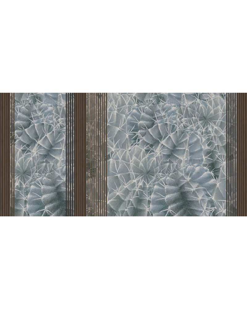 CACTUS RAPSODY SE34434-C CACTUS RAPSODY SE34434-C