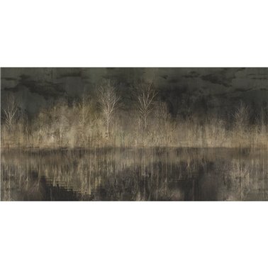 CONTEMPLAZIONE SE34466-C