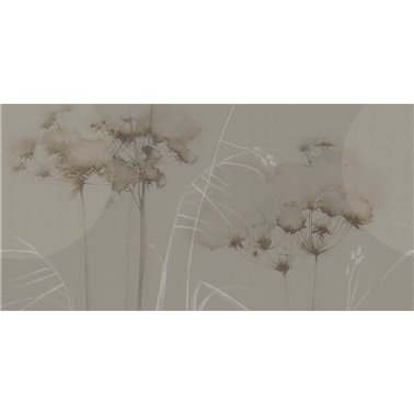 FIELD SE34436