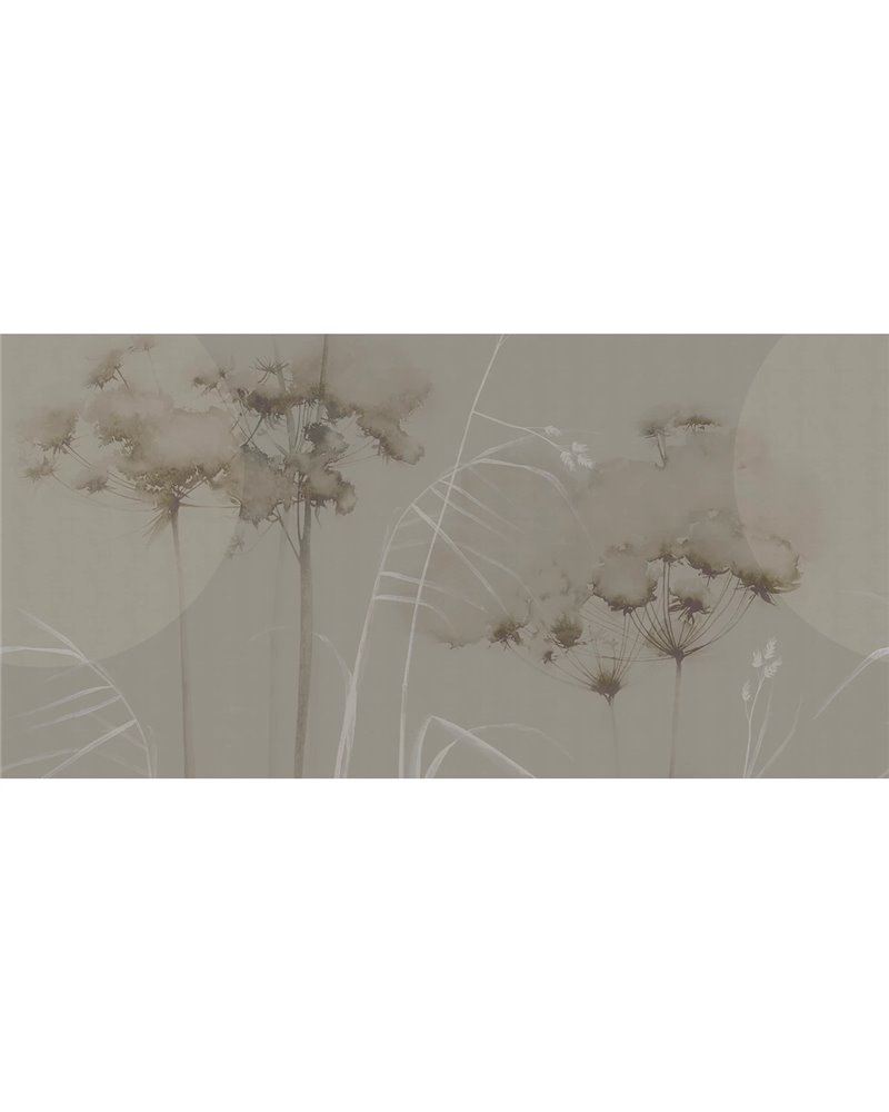 FIELD SE34436