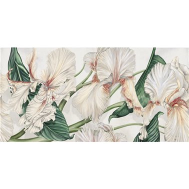 WILD IRIS SE34409